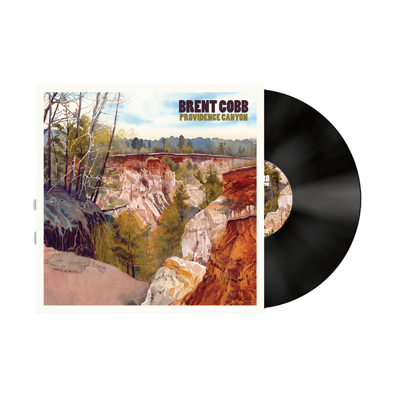 Providence Canyon Vinyl - Standard Black