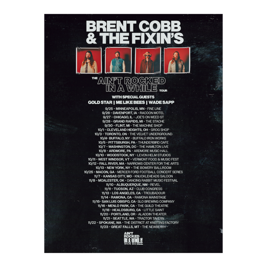 Ain't Rocked In A While Poster