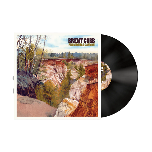 Providence Canyon Vinyl - Standard Black