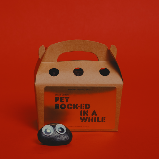 Brown cardboard box with 'Pet Rocked in a While' text on an orange background